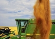美농무부(USDA), 농가에 19조원 추가지원…미중 무역전쟁 여파