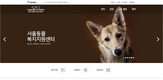 유기견 입양정보 담긴 '서울동물복지지원센터' 홈피 신설