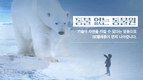 ICT로 털끝까지 생생하게…SKT, '북극곰편' 공개