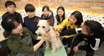 반려동물 등록, 인식표 대신 내·외장 무선식별장치만 허용된다