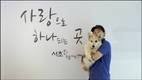 서초구, 27일부터 '추석연휴 반려견 돌봄 쉼터' 운영