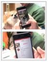 반려견 촬영 동물보호시스템 등록 서비스 나온다