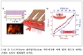 누르는 힘으로 밝기 변하는 전자피부 개발…촉감의 시각화 기술 성큼
