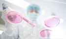 레고켐 기술 사간 영국社 최대주주에 셀트리온…ADC '투자 붐'