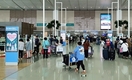정부 