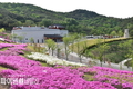 경주시, 화랑마을 봄꽃 개화를 맞아 방문객 대상 '특별한 추억만들기' 이벤트