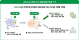 간장약 성분 ‘UDCA’, “코로나19 감염 예방에도 효과”