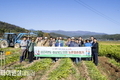 경북도의회, '2024년 농촌일손 돕기' 실시