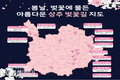 상주시, 벚꽃길 SNS 인증 이벤트 실시