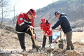 군위군, '2025년 식목일 기념 나무심기' 행사