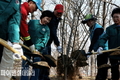 상주시, 「제80회 식목일 기념 나무심기」 행사 개최
