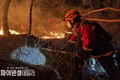 대구광역시, 달성군 '함박산 산불 초동 진압 성공' 주불 진화