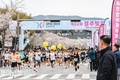경주벚꽃마라톤, 'APEC 2025 성공 기원' 1만5천여명 참여 성황리 개최