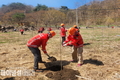 남부지방산림청, '제80회 식목일 기념' 행사