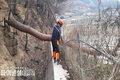 남부지방산림청, 산불피해지 내 위험목 제거 총력