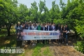 상주시, ‘감나무 수고낮추기 사업’ 사후 모니터링