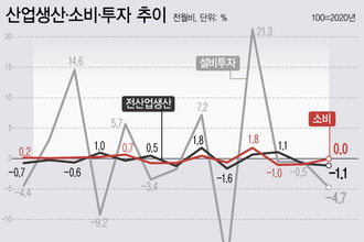 美관세·내수부진에 산업생산 두달째↓…경기위축 조짐 뚜렷(종합)