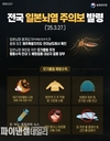 영천시, '도내 첫 일본뇌염 매개모기 확인' 예방접종 당부
