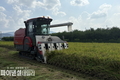 경산시, 올해 첫 벼 수확 시작 '한장군 쌀' 출하