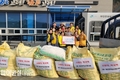 고령군, 개진면 적십자봉사회 '떡국떡 나눔'으로 따뜻한 마음 전해