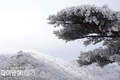 경북문화관광공사, 1월 사진으로 만나는 여행 '경북 상고대' 명산